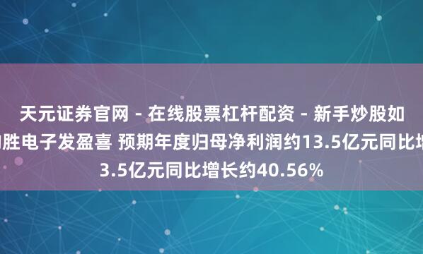 天元证券官网 - 在线股票杠杆配资 - 新手炒股如何配资杠杆 均胜电子发盈喜 预期年度归母净利润约13.5亿元同比增长约40.56%