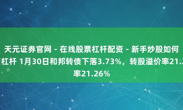 天元证券官网 - 在线股票杠杆配资 - 新手炒股如何配资杠杆 1月30日和邦转债下落3.73%，转股溢价率21.26%