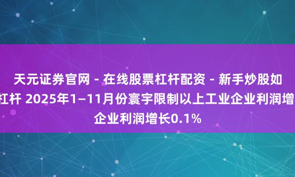 天元证券官网 - 在线股票杠杆配资 - 新手炒股如何配资杠杆 2025年1—11月份寰宇限制以上工业企业利润增长0.1%
