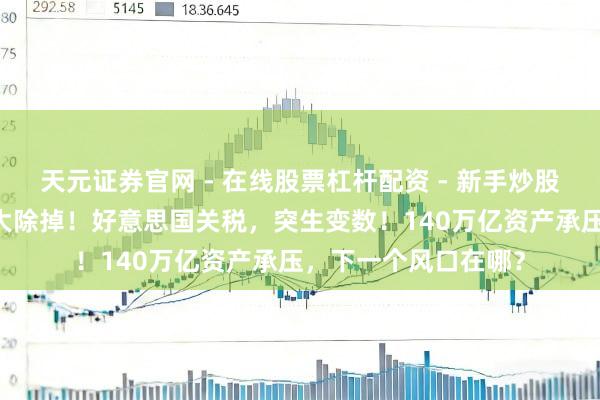天元证券官网 - 在线股票杠杆配资 - 新手炒股如何配资杠杆 资金大除掉！好意思国关税，突生变数！140万亿资产承压，下一个风口在哪？
