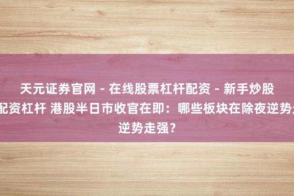 天元证券官网 - 在线股票杠杆配资 - 新手炒股如何配资杠杆 港股半日市收官在即：哪些板块在除夜逆势走强？